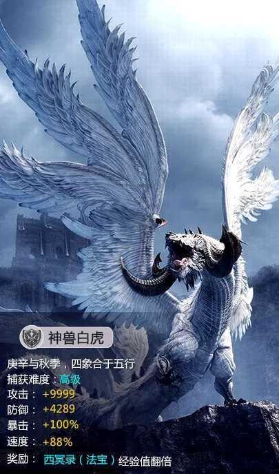 月光影视