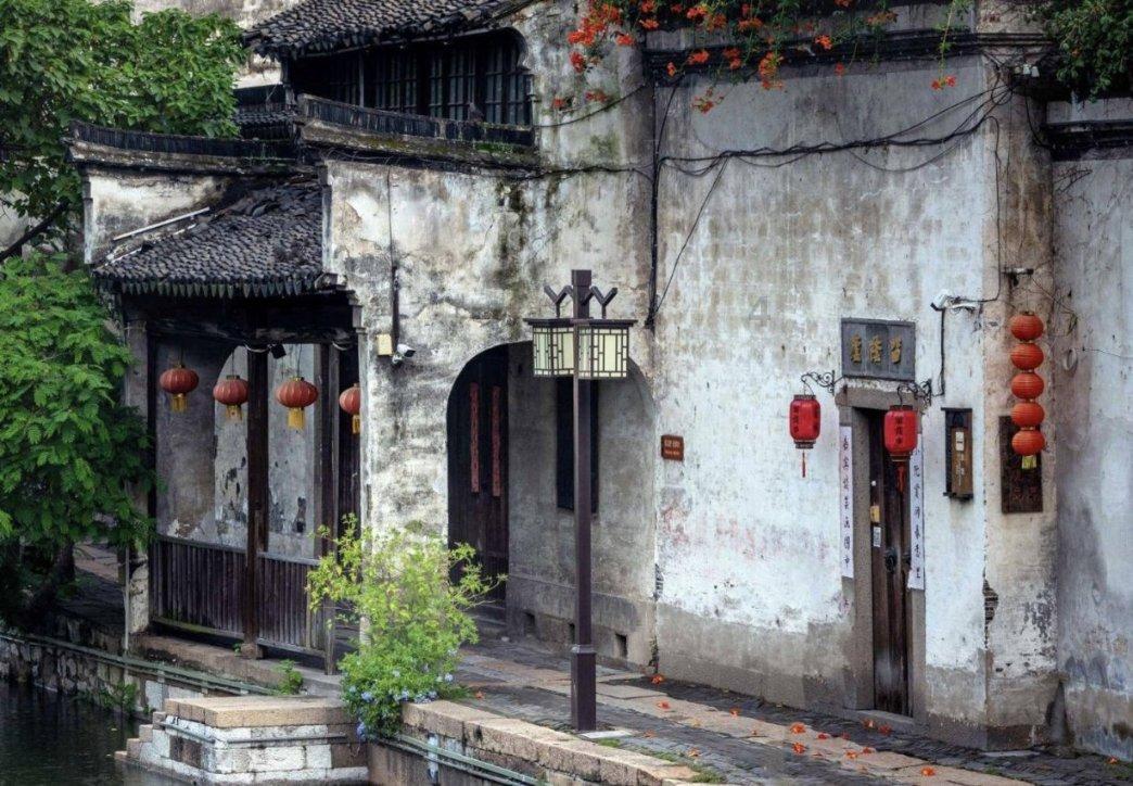 动物帮帮忙保卫家园